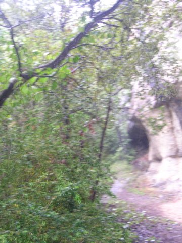 p1010200.jpg