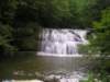 p1010202_small.jpg