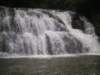 p1010204_small.jpg