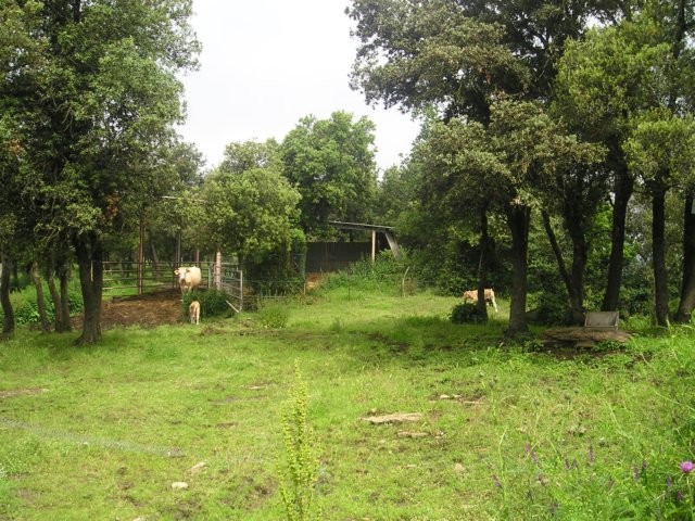 p1010206.jpg
