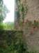 p1010210_small.jpg