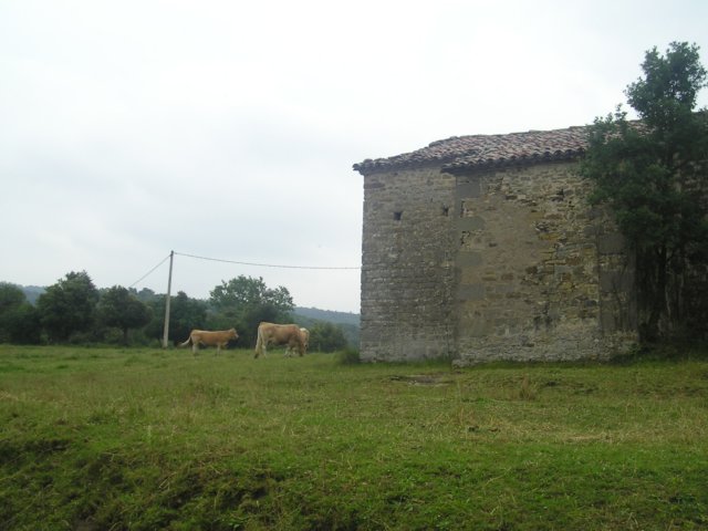 p1010211.jpg