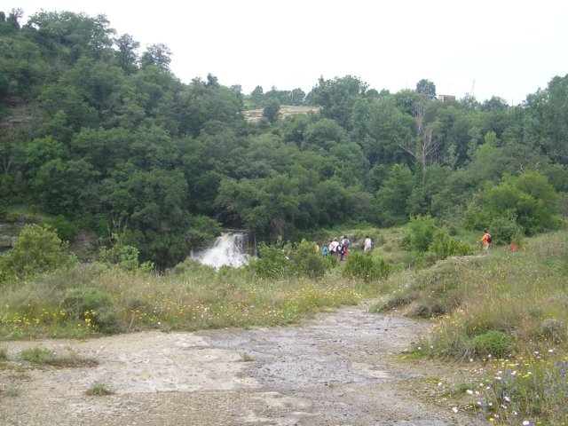p1010228.jpg