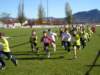 p1010070_small.jpg