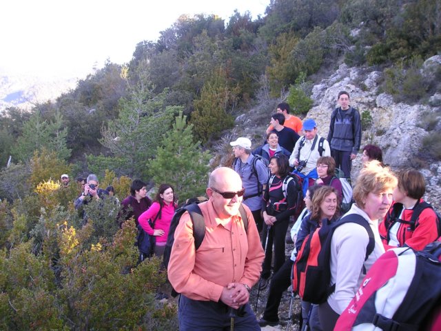 p1010005.jpg