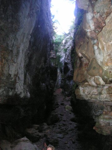 p1010028.jpg