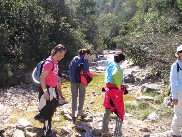 p1010076.jpg