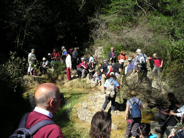 p1010080.jpg