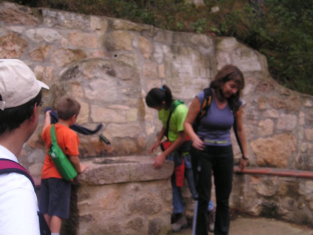p1010346.jpg