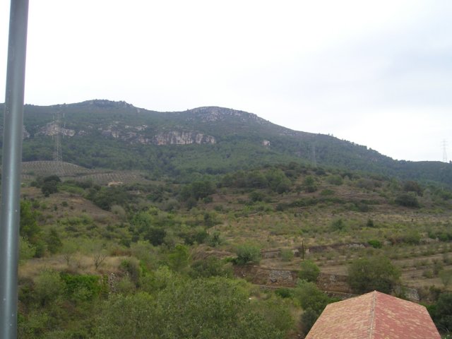 p1010354.jpg