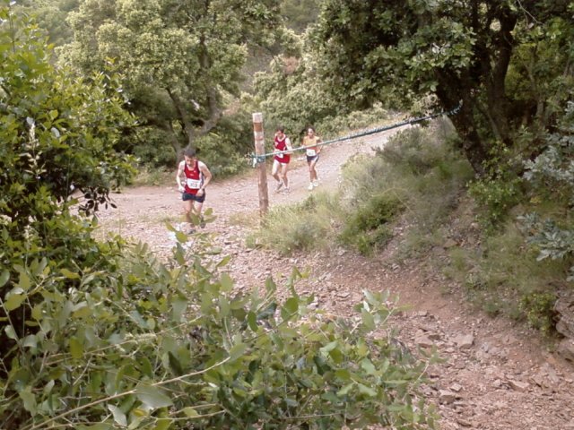 foto0666.jpg