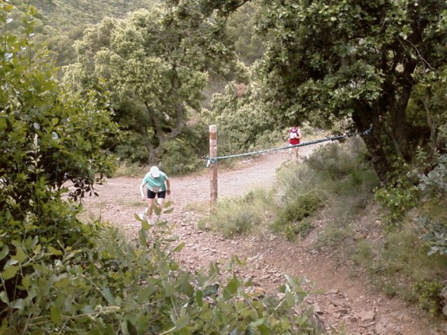 foto0710.jpg