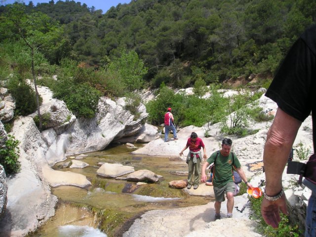 tolldelolla.jpg