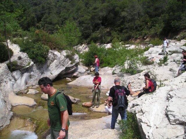 tolldelolla2.jpg