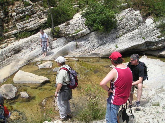 tolldelolla5.jpg