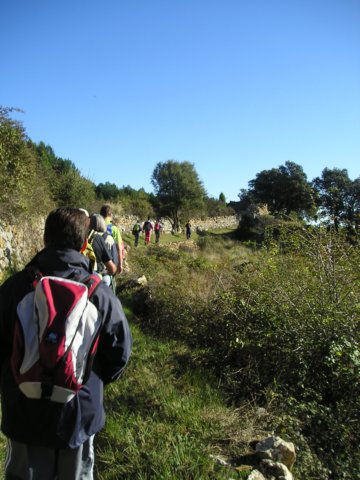 p1010005.jpg