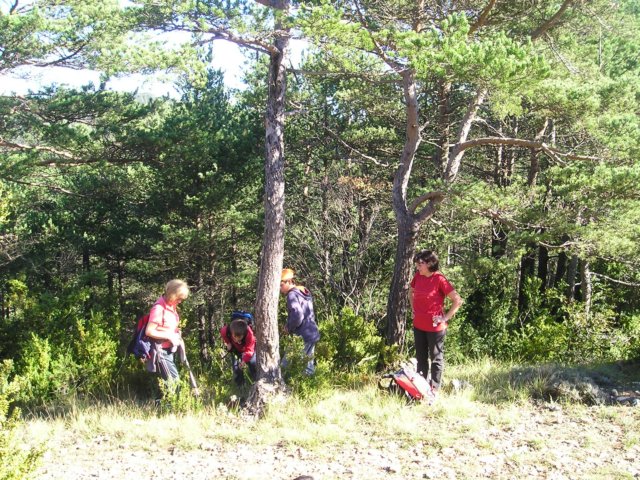 p1010009.jpg