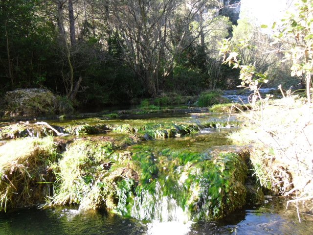 cimg0074.jpg