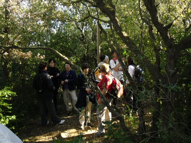cimg0084.jpg