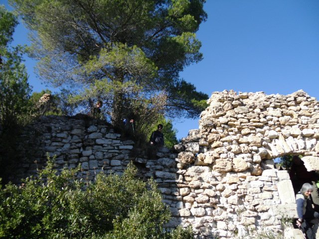 cimg0096.jpg