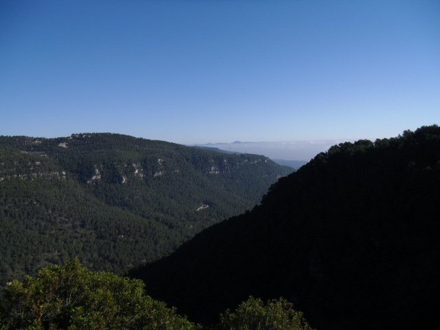 cimg0102.jpg