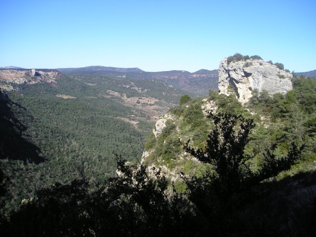 p1010061.jpg
