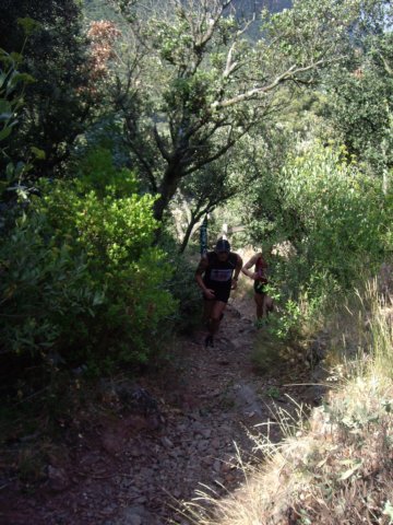 imgp0013.jpg