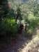 imgp0013_small.jpg