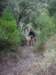 imgp0048_small.jpg