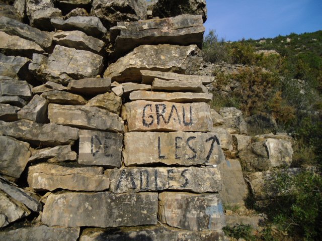 cimg0205.jpg
