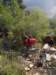 cimg0206_small.jpg