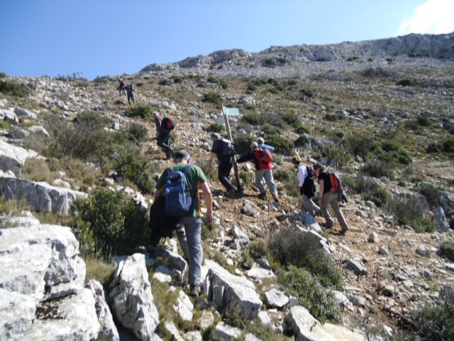 cimg0265.jpg