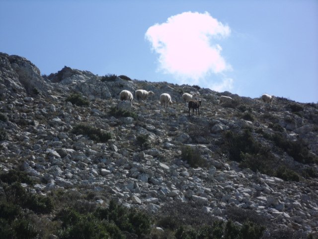 cimg0267.jpg