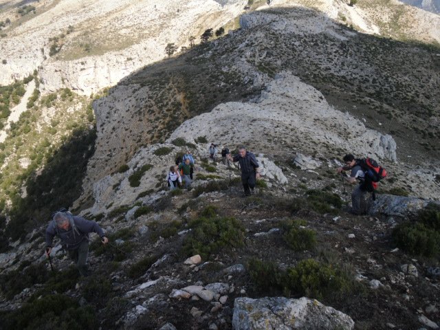cimg0278.jpg