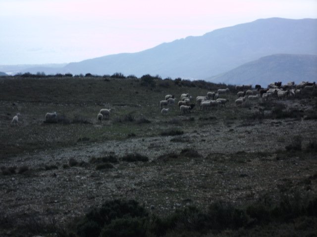 cimg0286.jpg