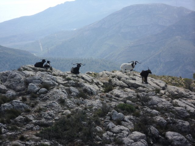 cimg0296.jpg