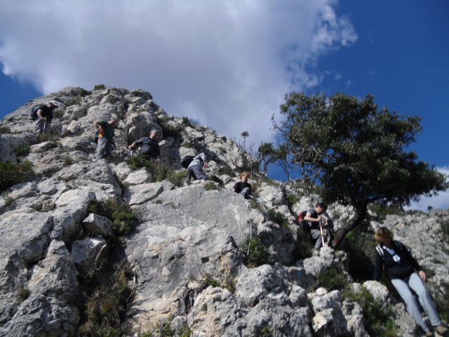 cimg0301.jpg