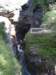 p8283132_small.jpg