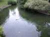 p8283159_small.jpg