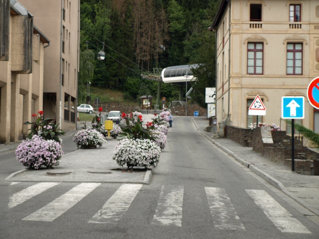 p8283160.jpg