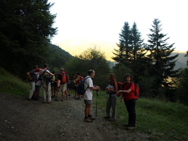 p8293178.jpg