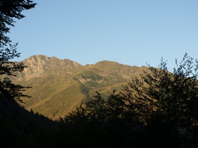 p8293180.jpg
