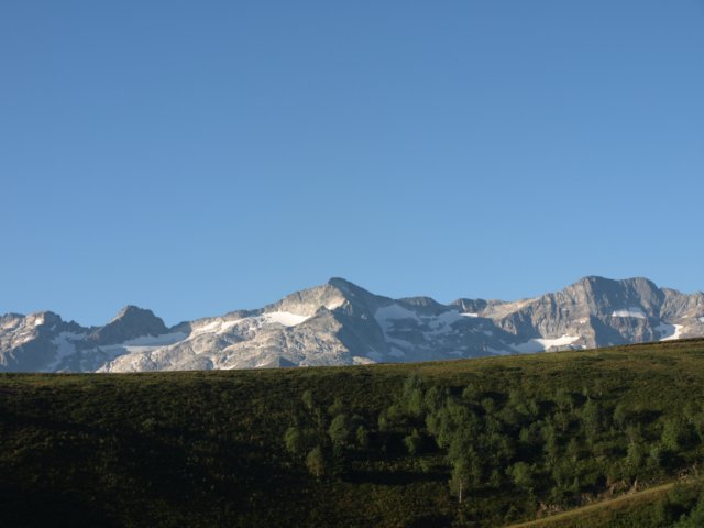 p8293187.jpg