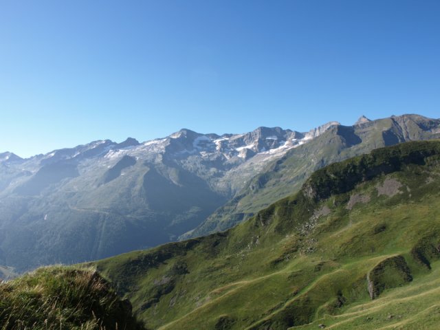p8293203.jpg
