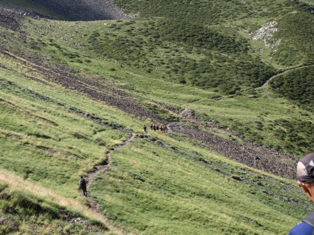 p8293228.jpg