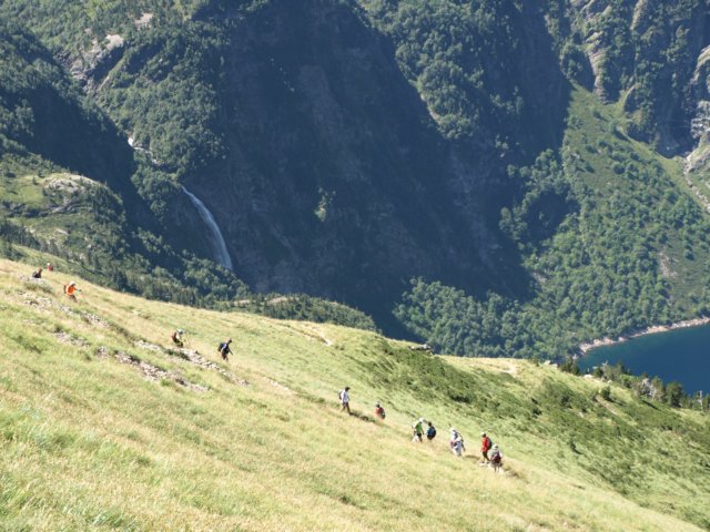 p8293239.jpg