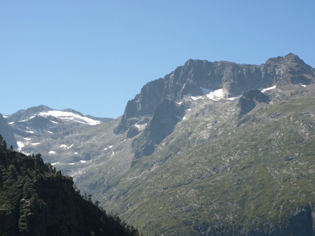 p8293242.jpg
