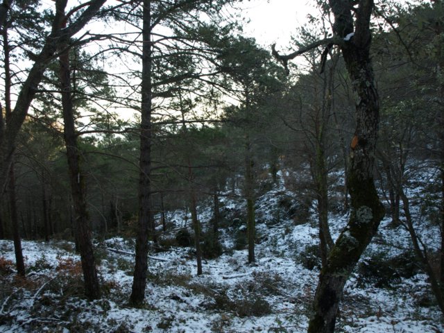 pc202134.jpg