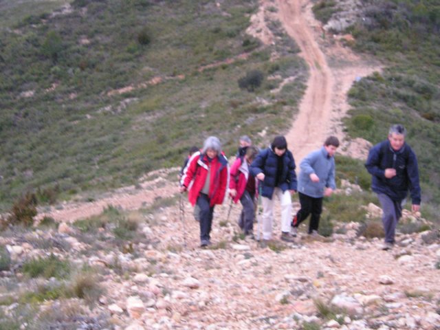p1010019.jpg