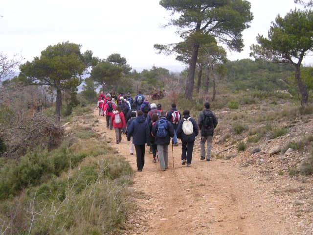 p1010029.jpg